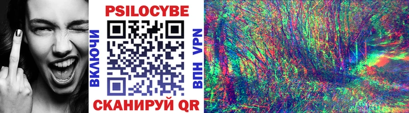 Галлюциногенные грибы Cubensis купить наркоту Нытва